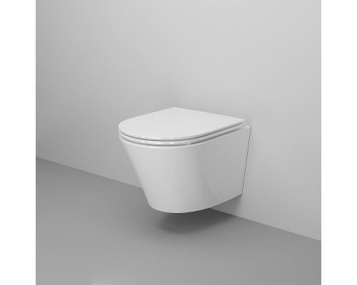 Унитаз Ambassador Ritz 233K19004RS подвесной с сиденьем Микролифт