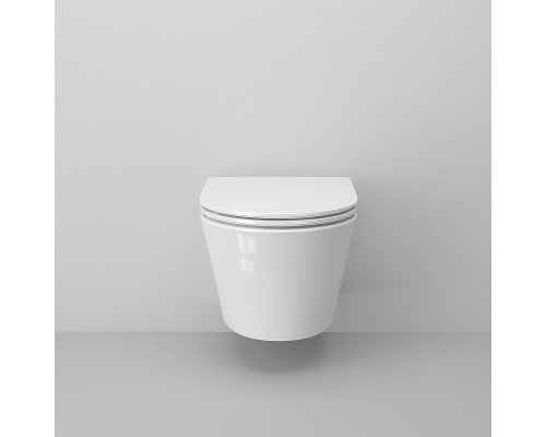 Унитаз Ambassador Ritz 233K19004RS подвесной с сиденьем Микролифт