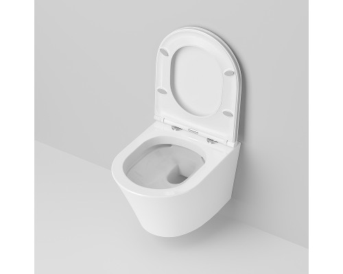 Унитаз Ambassador Ritz 233K19004RS подвесной с сиденьем Микролифт