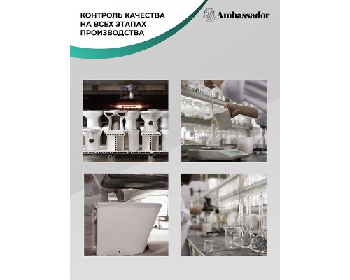 Унитаз Ambassador Ritz 233K19004RS подвесной с сиденьем Микролифт