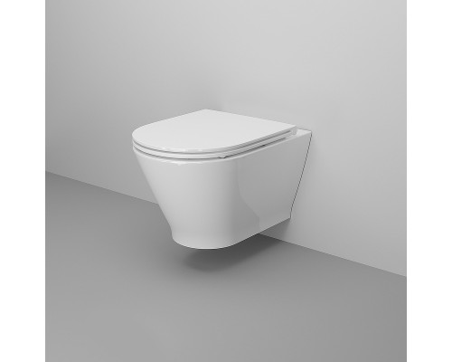 Унитаз Ambassador Elysium 183K19002RS подвесной с сиденьем Микролифт