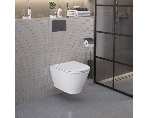 Унитаз Ambassador Elysium 183K19002RS подвесной с сиденьем Микролифт