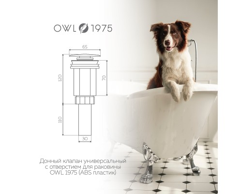Донный клапан Owl 1975 click-clack Хром