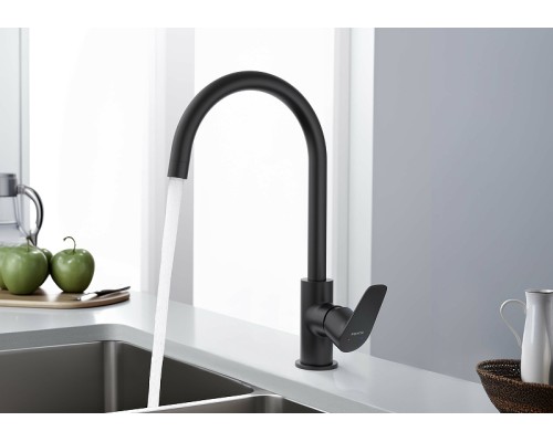 Смеситель для кухни Aquatek Бетта AQ1182MB Черный матовый