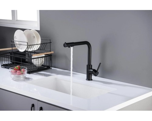 Смеситель для кухни Aquatek Европа AQ1386MB Черный матовый