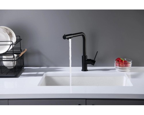 Смеситель для кухни Aquatek Европа AQ1386MB Черный матовый