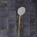 Держатель ручного душа Iddis Optima Home Золото матовое