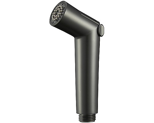 Гигиенический душ Raglo R460.01.06 Черный матовый