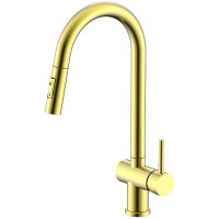 Смеситель для кухни Splenka S204.49.03 Золото матовое