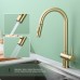 Смеситель для кухни Splenka S204.49.03 Золото матовое