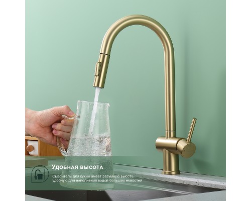 Смеситель для кухни Splenka S204.49.03 Золото матовое