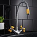 Смеситель для кухни Ростовская Мануфактура Сантехники SL92YW-279F Хром Желтый