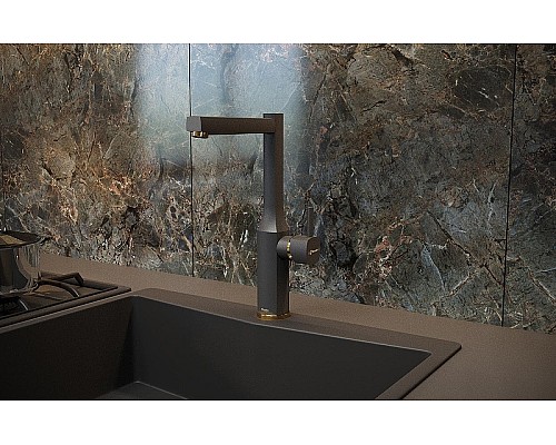 Смеситель для кухни Shouder Unique 0170517 Черный Золото