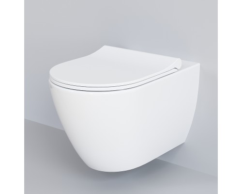Унитаз Ambassador Queen 113T20001R-112T20001S подвесной Белый глянцевый с сиденьем Микролифт