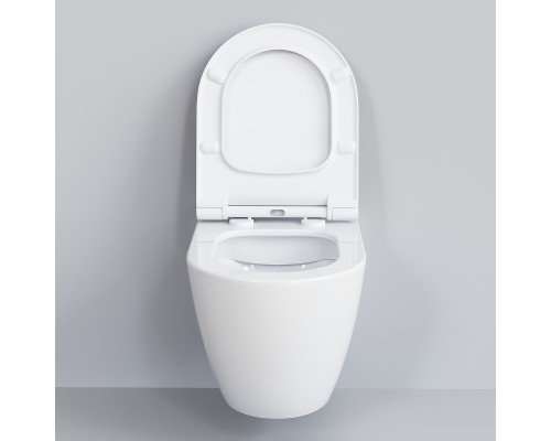 Унитаз Ambassador Queen 113T20001R-112T20001S подвесной Белый глянцевый с сиденьем Микролифт