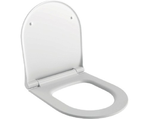 Унитаз Ambassador Queen 113T20001R-112T20001S подвесной Белый глянцевый с сиденьем Микролифт