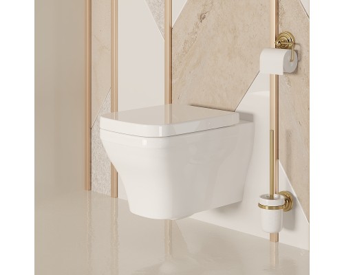 Унитаз Ambassador Benefit 203T20001R подвесной Белый глянцевый без сиденья