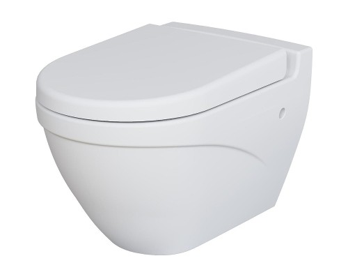 Унитаз Ambassador Nord 133T20101 подвесной Белый матовый без сиденья