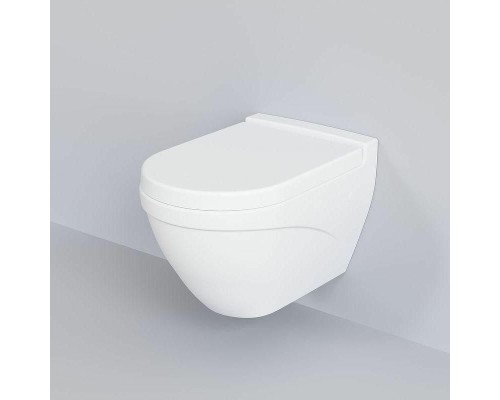 Унитаз Ambassador Nord 133T20101 подвесной Белый матовый без сиденья