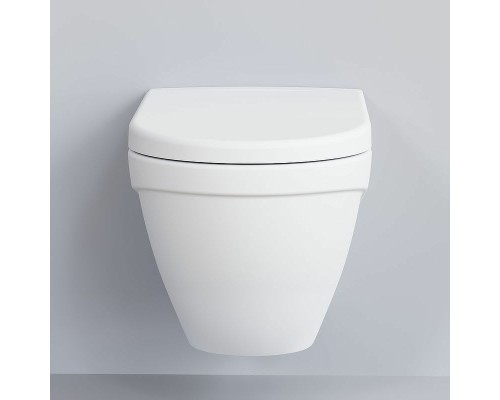 Унитаз Ambassador Nord 133T20101 подвесной Белый матовый без сиденья