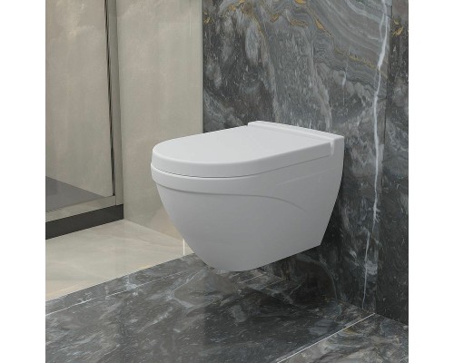 Унитаз Ambassador Nord 133T20101 подвесной Белый матовый без сиденья