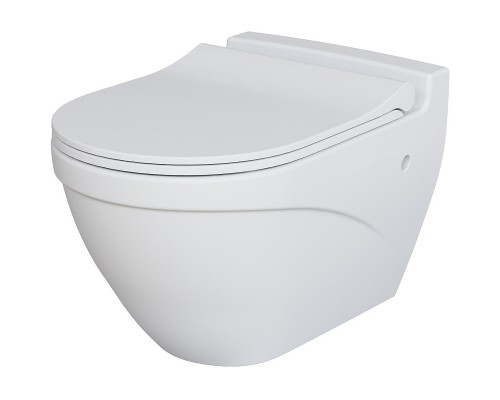 Унитаз Ambassador Nord 133T20101 подвесной Белый матовый без сиденья