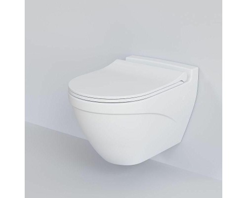 Унитаз Ambassador Nord 133T20101 подвесной Белый матовый без сиденья