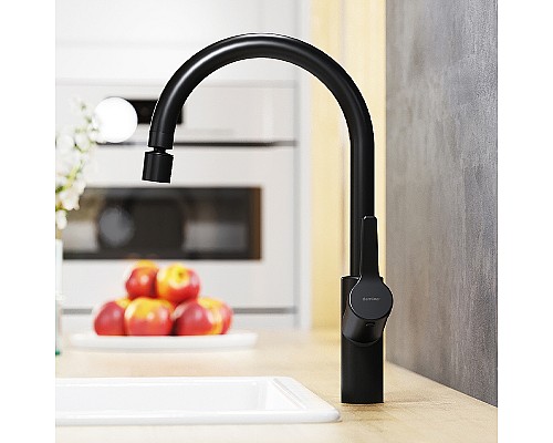 Смеситель для кухни Damixa Eclipse 310722300 Черный матовый
