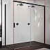 Душевая дверь Novellini Opera 120 R OPEPH119D-1H профиль Черный матовый стекло прозрачное