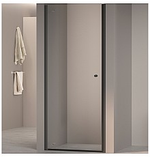 Душевая дверь RGW Dolphin TN-03B 90 54930309-14 профиль Черный стекло прозрачное