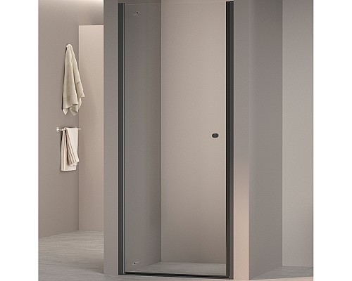 Душевая дверь RGW Dolphin TN-03B 90 54930309-14 профиль Черный стекло прозрачное