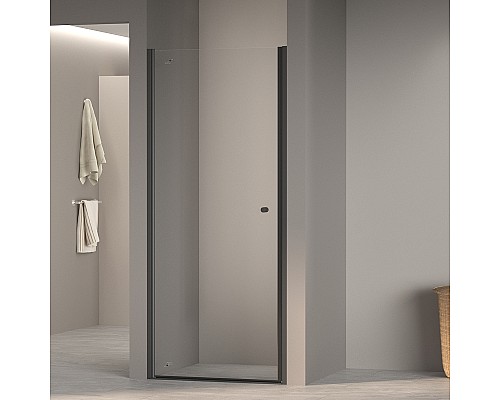 Душевая дверь RGW Dolphin TN-03B 90 54930309-14 профиль Черный стекло прозрачное