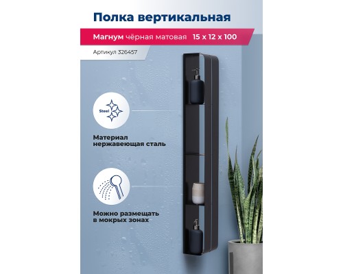 Металлическая полка Aquanet Магнум H 15х100 326457 Черная матовая