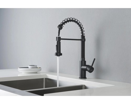 Смеситель для кухни Aquatek Европа AQ1387MB Черный матовый