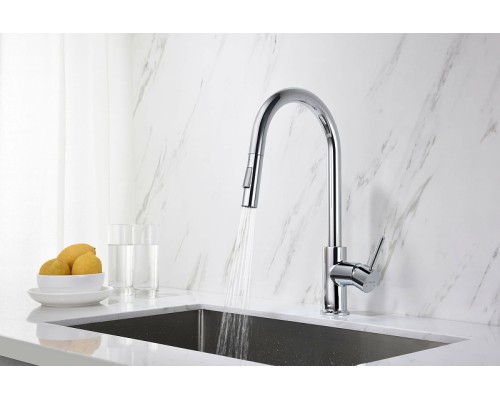 Смеситель для кухни Aquatek Европа AQ1384CR Хром