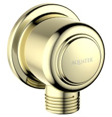 Шланговое подключение Aquatek Классик Полированное золото