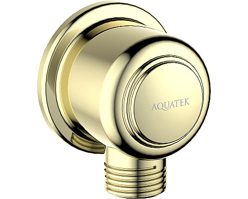 Шланговое подключение Aquatek Классик AQ2461PG Полированное золото