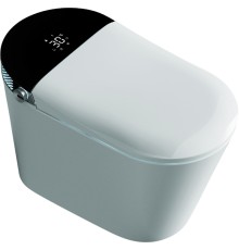 Унитаз биде Timo TE-741B с сиденьем Микролифт