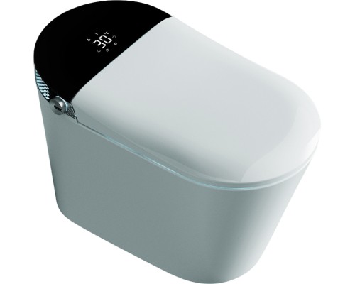 Унитаз биде Timo TE-741B с сиденьем Микролифт