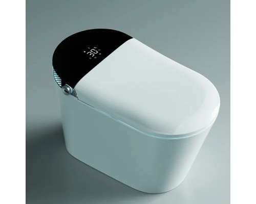 Унитаз биде Timo TE-741B с сиденьем Микролифт