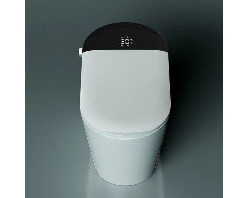 Унитаз биде Timo TE-741B с сиденьем Микролифт