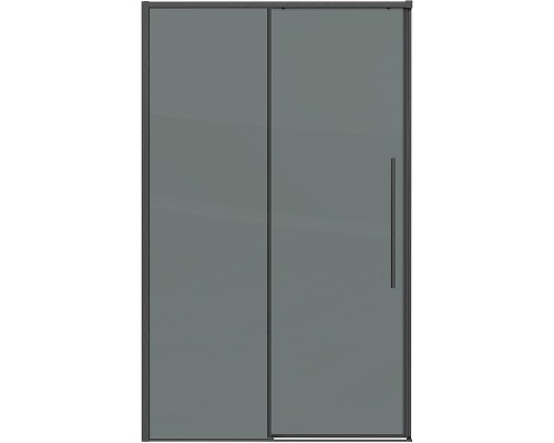 Душевая дверь Grossman Galaxy 100 100.K33.01.100.42.10 профиль Графит сатин стекло тонированное