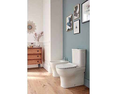 Сиденье для унитаза Jacob Delafon Struktura E20606-00 Белое с микролифтом