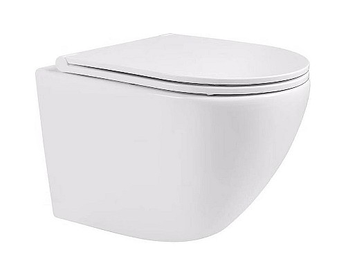 Унитаз Alcora Encanto LT-046E-R 49530 подвесной с сиденьем Микролифт