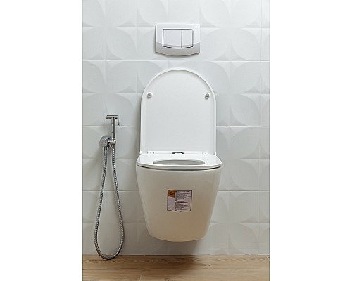 Унитаз Alcora Encanto LT-046E-R 49530 подвесной с сиденьем Микролифт