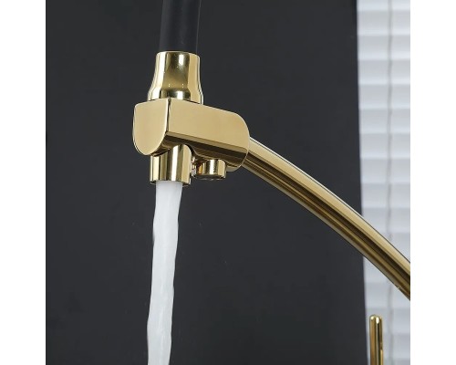 Смеситель для кухни Gappo G4398-13 Золото Черный