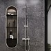 Душевая система Damixa Scandinavian Pure 936800000 с термостатом Хром