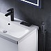 Смеситель для раковины AM.PM Gem F90A03022 с гигиеническим душем Черный матовый