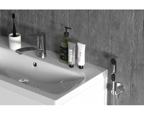 Смеситель для раковины Damixa Jupiter 770230001 с гигиеническим душем Хром