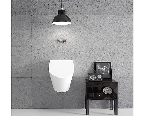 Писсуар Globo Forty3 FO030.BI подвесной Белый